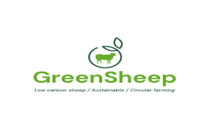 The Little Green Sheep Coupon & Deals 2025 Image