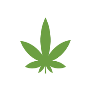 Easy Weed Discount Code and Deals 2025 Image